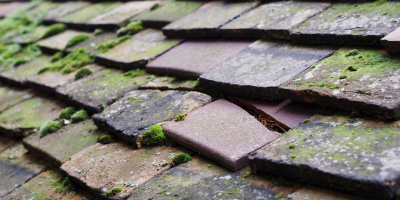 Laugharne roof repair costs